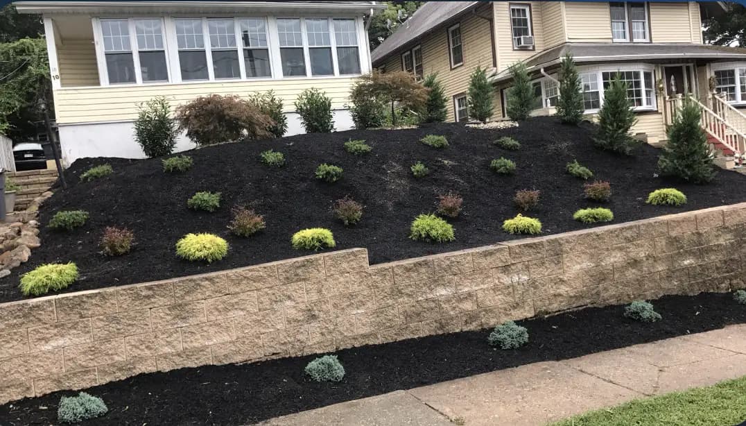 Backyard Slope & Retaining Wall